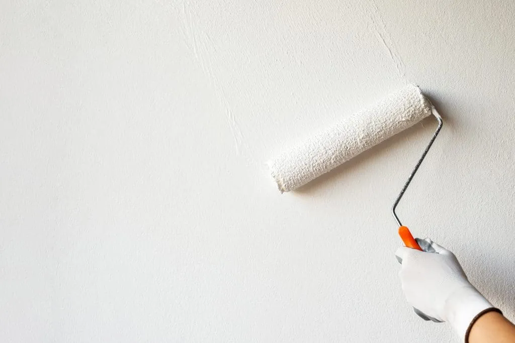 Rénovation de la peinture à Blois​